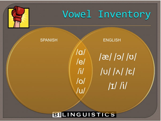 [Image: Vowel Inventory.jpg]